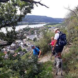 Steiler Abstieg nach Leutesdorf!