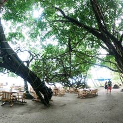 Essen am Beach