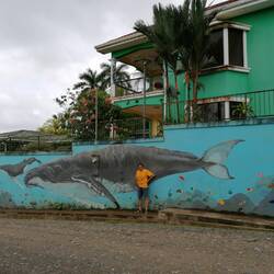Graffiti in Drake