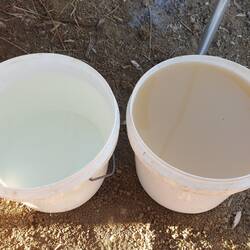 The water after decanting (on left) and before settling.