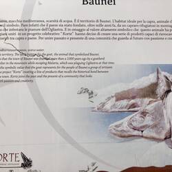 Der gute Käse und seine lieben Tiere