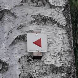 Erstes Wegzeichen des Albsteigs (HW1)