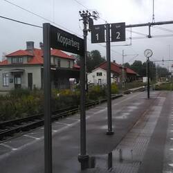 das Bild ist von vorgestern (dem Tag des großen Regens)