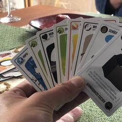 Das Spiel gewinne ich - zwei Entschärfungskarten