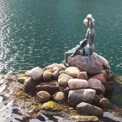 ...sondern auch die Genetically Modified Little Mermaid...