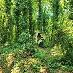 A witch in the woods