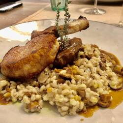 Zweierlei Iberico-Schwein auf Pilz-Graupen-Risotto