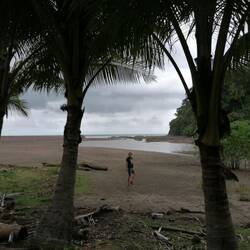 Martin hat sich zuerst an den Krokodilstrand getraut.