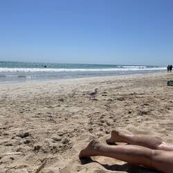 Tough life