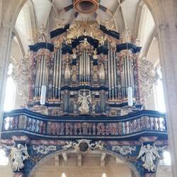 Die Klais-Orgel der St. Severikirche im Gehäuse von Wender