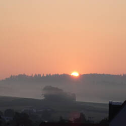 Morgenstund hat Gold im Mund...