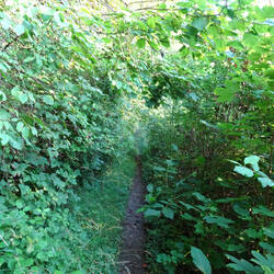 Aufsteig auf den Sandberg