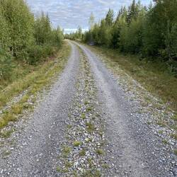 Auf dieser Strasse haben wir bisher noch kein weiteres Auto gesehen 🤷‍♂️ ziemlich einsam hier 👍🏻