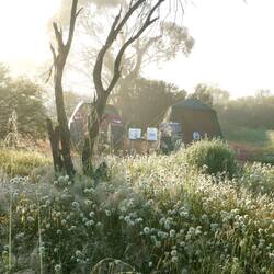 Campsite in the morning