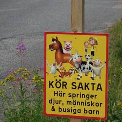 FAHR LANGSAM - hier laufen Tiere, Menschen & ungezogene Kinder