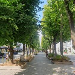 Rue Laisves