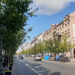 Rue Gedimino