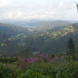 Schwarzwald