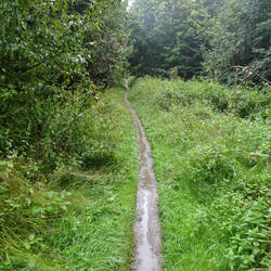 Die Trails sind heute etwas naß