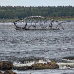 Fischkunst mitten auf dem Fluss