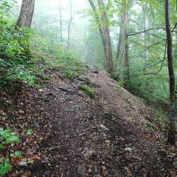 Viele Hangwege auf dem Albsteig