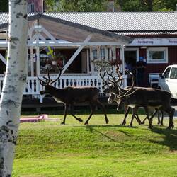 ... zum Minigolf! 😄