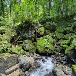Die Quelle des Wasserfalls