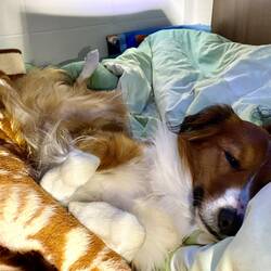 Das kann doch nicht gemütlich sein, oder? 🤪