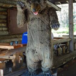 Ach ja, und da ist auch der Bär! 😁