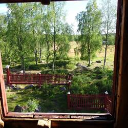 Blick aus der Kirche in die Wildnis