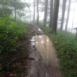 Weg zum Aussichtspunkt Boßler