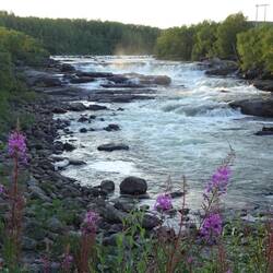 Skoltefossen in der Abendsonne