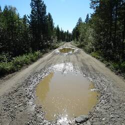 Schon nach wenigen Minuten wird mir klar: Das Fahrrad war die bessere Wahl.