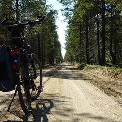 Auf die Schlammlöcher folgt Sandpiste - mit dem Rad kein Problem.
