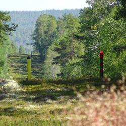 Das muss Nr. 6 sein.