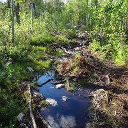 Das nennt sich immer noch "Weg" - das Ziel ist nah.