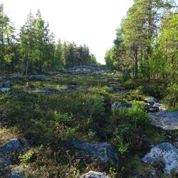 Die Grenzstraße - aber wo sind die Pfosten?