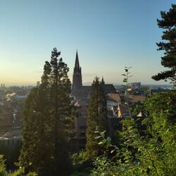 Blick über Freiburg