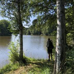 Brunausee bei Behringen