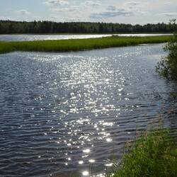 Direkt am Pasvik, Russland direkt gegenüber