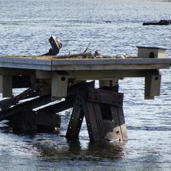 An den Ruinen auf der norwegischen Seite hat jemand eine Nistplattform für Vögel befestigt.