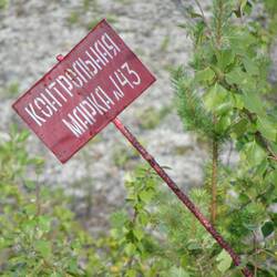 Spricht dafür, dass der Deich früher mal russisch war.