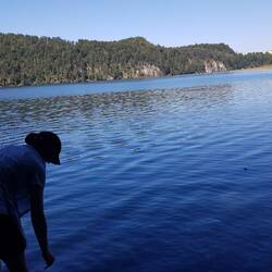 Alpsee