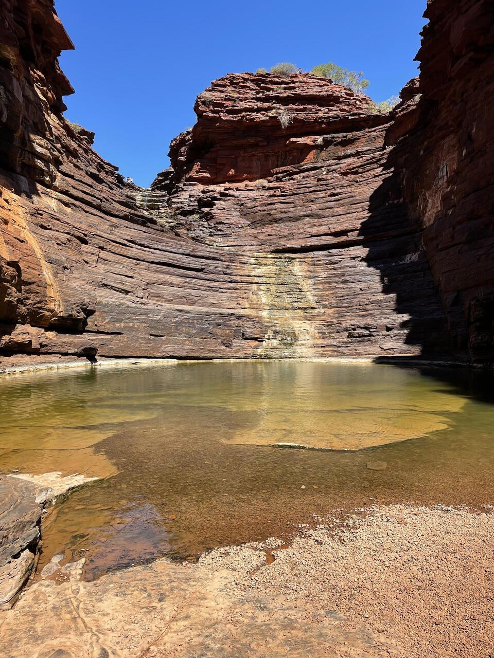 The swimming pool