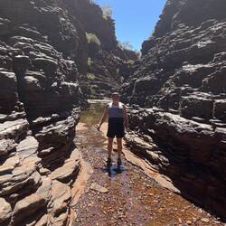 Ready to wade through the gap