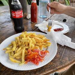 Sophie's favourite food / Fries ☑️