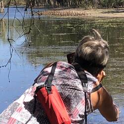 Trying to take a photo of a massive flock of ducks