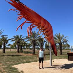 The town with the giant prawn