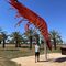 The town with the giant prawn