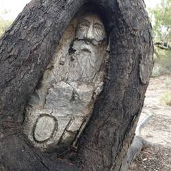 Face Tree Tribute to Burke